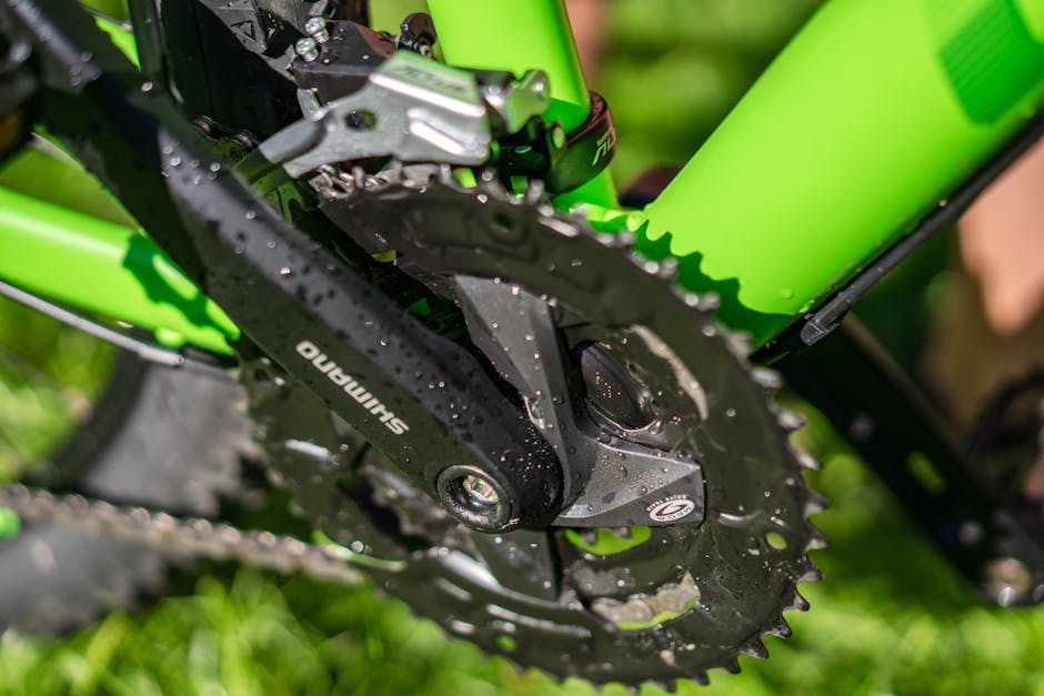 Essential Bike Maintenance Tips Every Cyclist Should Know